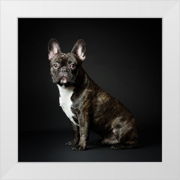 Suykerbuyk, Jurgen 12x12 White Modern Wood Framed Museum Art Print Titled - Max