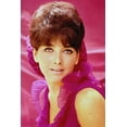 thumbnail image 1 of Suzanne Pleshette Beautiful 24X36 Poster, 1 of 1