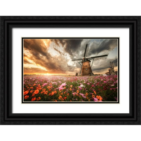 Suzuki, Daiki 24x17 Black Ornate Wood Framed with Double Matting Museum Art Print Titled - Magnificent Flower World