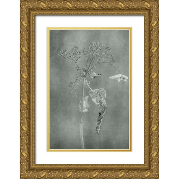Suzuki, Takashi 11x14 Gold Ornate Wood Framed with Double Matting Museum Art Print Titled - Withered Hydrangea_012