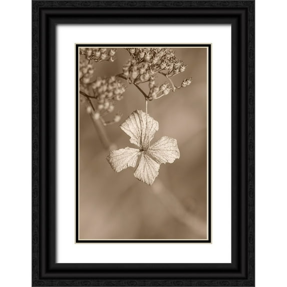 Suzuki, Takashi 13x18 Black Ornate Wood Framed with Double Matting Museum Art Print Titled - Withered Hydrangea_003