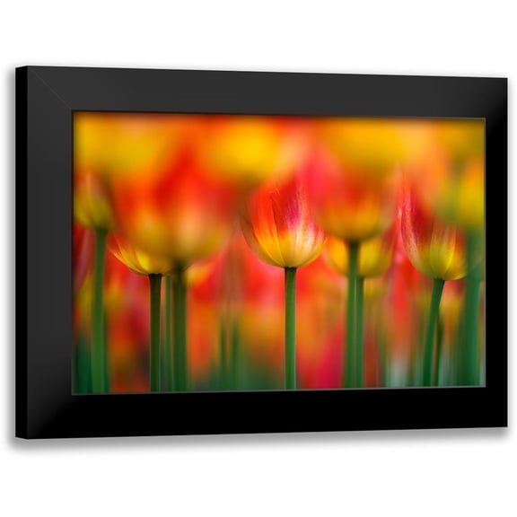 Suzuki, Takashi 14x11 Black Modern Framed Museum Art Print Titled - Side By Side