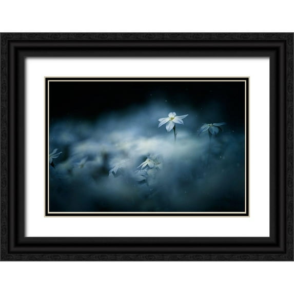 Suzuki, Takashi 14x11 Black Ornate Wood Framed with Double Matting Museum Art Print Titled - Spring Glow