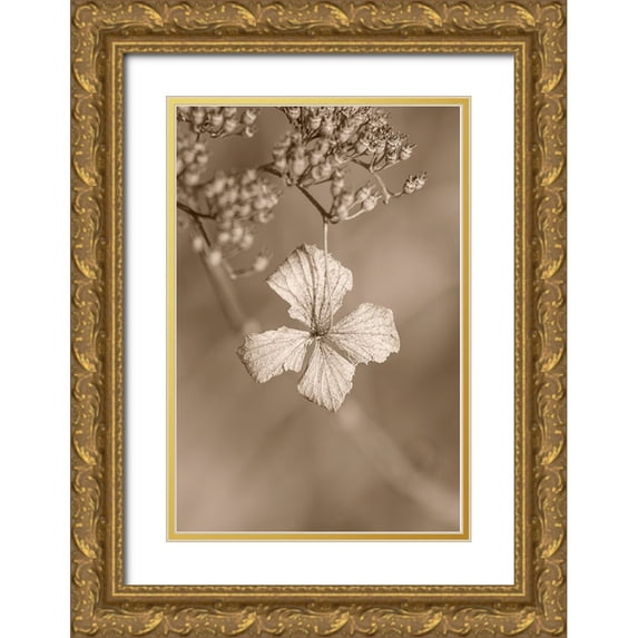 Suzuki, Takashi 17x24 Gold Ornate Wood Framed with Double Matting Museum Art Print Titled - Withered Hydrangea_003