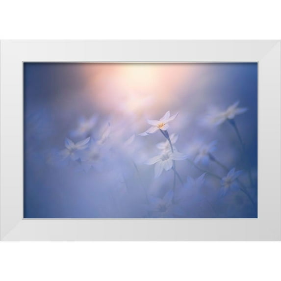 Suzuki, Takashi 24x17 White Modern Wood Framed Museum Art Print Titled - In The Pale Light