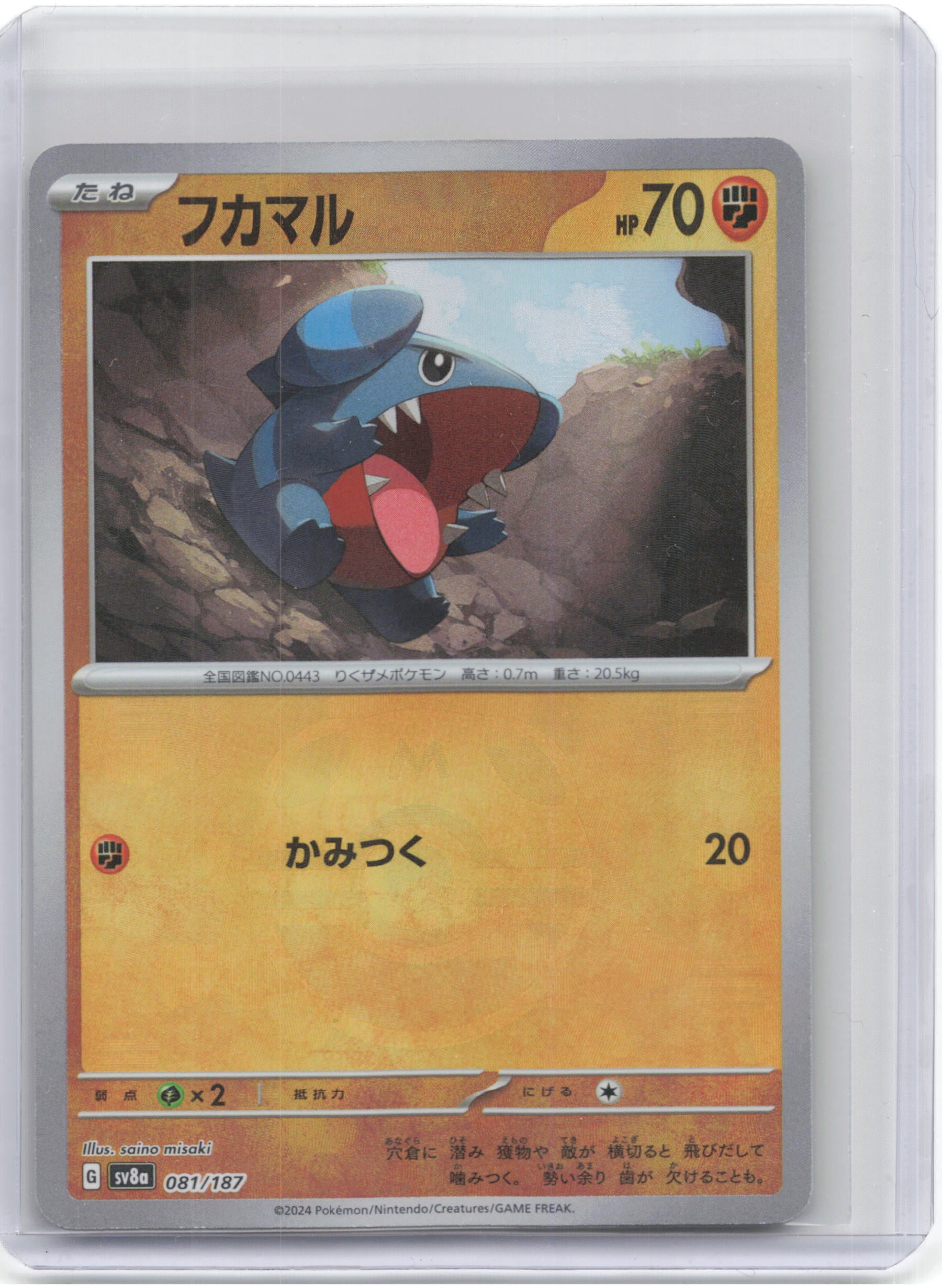 Gible Gible