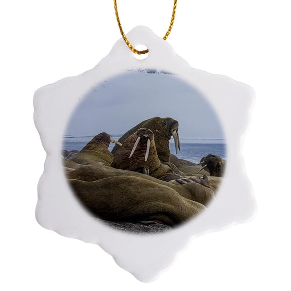 3drose, Svalbard, Norway. Colony of Atlantic Walrus Sparring, Showing Tusks., 3 inch Snowflake Porcelain Ornament