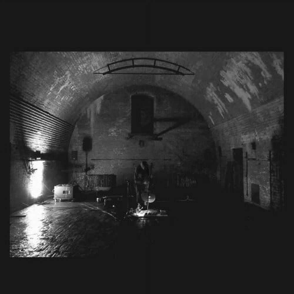 Svarte Greiner - Devolving Trust - Music & Performance - CD