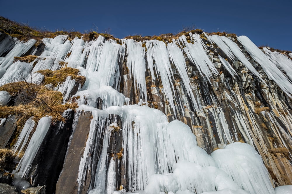 Svartifoss Waterfall Iceland (Black falls) Canvas Art - Panoramic Images (27 x 9)