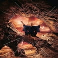 thumbnail image 1 of Sven Vath - Catharsis - Music & Performance - Vinyl, 1 of 1