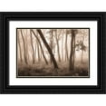 thumbnail image 1 of Svibilsky, Igor 24x17 Black Ornate Wood Framed with Double Matting Museum Art Print Titled - Reticent Woods, 1 of 4