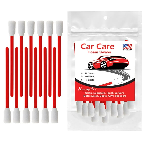 Swab-its 12-piece Package of Auto Detailing Car Care Foam Swabs: 88-8220