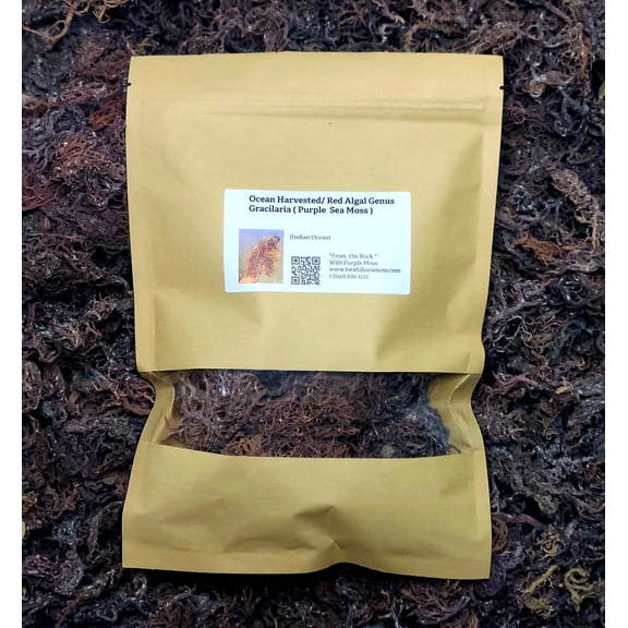 Swahili Sea Moss | Organic | Wildcrafted | Ocean Harvested Raw Purple Sea Moss 4 oz. from Tanzania