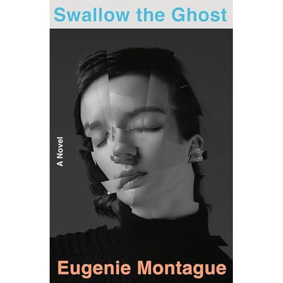 Pre-Owned Swallow the Ghost (Hardcover) 0316568066 9780316568067