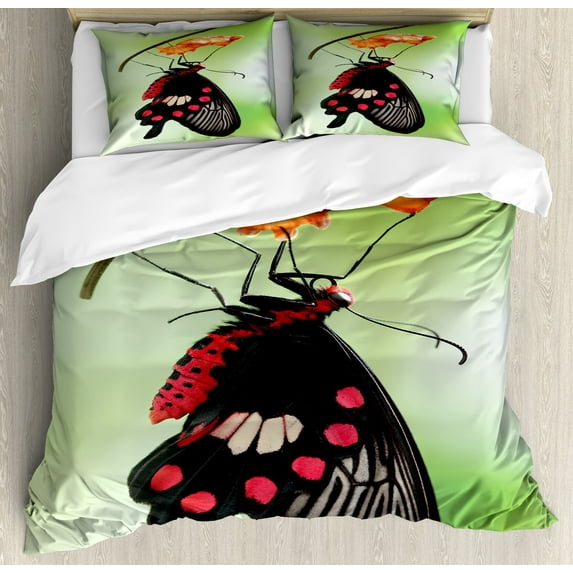 Swallowtail Butterfly Duvet Cover Set, Moment Coming out of Cocoon Chrysalis Transformation, Decorative 3 Piece Bedding Set with 2 Pillow Shams, King Size, Red Black Green, by Ambesonne