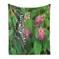 thumbnail image 1 of Swallowtail Butterfly Soft Flannel Fleece Blanket, Rare Butterfly on Blooming Spring Flowers Ecology Nature Theme, Cozy Plush for Indoor and Outdoor Use, 50" x 60", Green Pink Black, by Ambesonne, 1 of 6