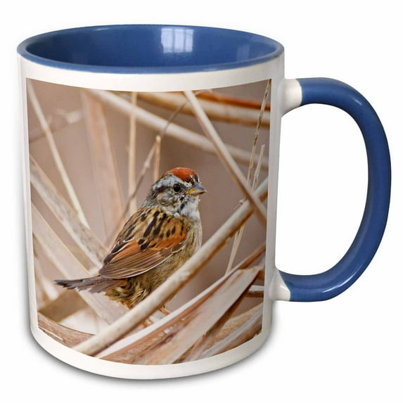 3drose, Swamp Sparrow, Melospiza Georgiana, in Cattails, Texas, Usa, 11oz Two-tone Blue Mug