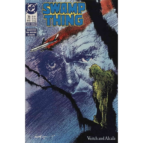 Swamp Thing (2nd Series) #71 VF ; DC Comic Book