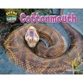 thumbnail image 1 of Swamp Things: Animal Life in a Wetland: Cottonmouth (Hardcover), 1 of 1