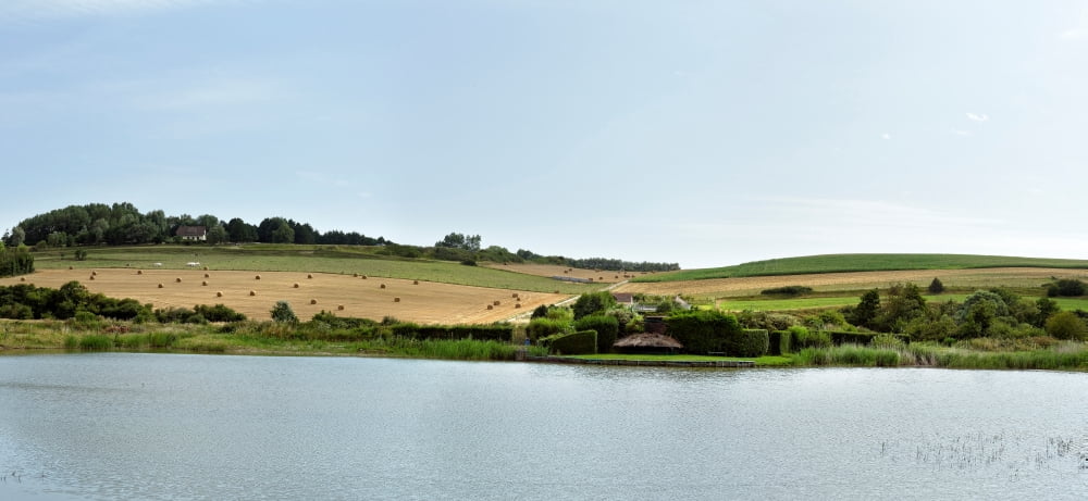 Swamp in a field Quiberville Seine-Maritime Upper Normandy France Canvas Art - Panoramic Images (12 x 24)