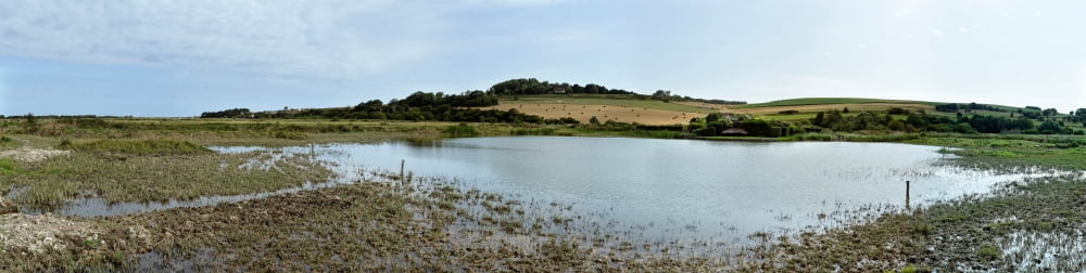 Swamp in a field Quiberville Seine-Maritime Upper Normandy France Canvas Art - Panoramic Images (5 x 20)