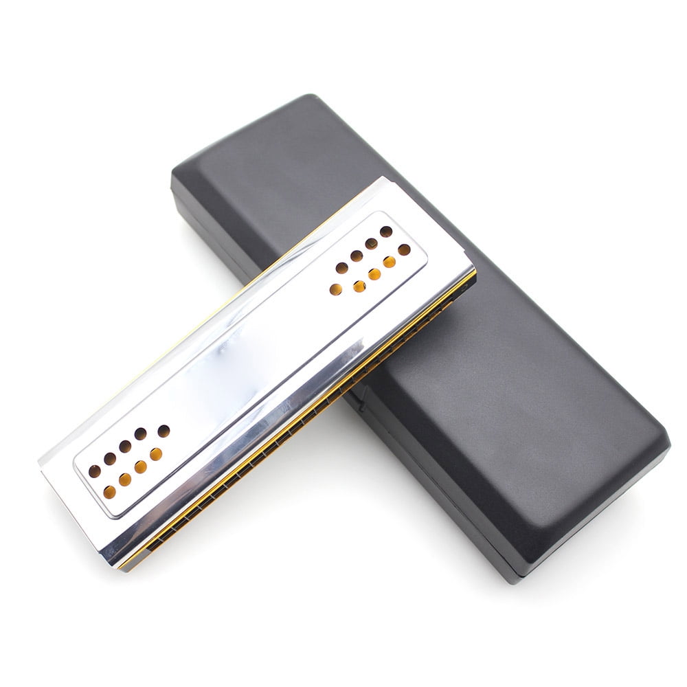 Swan 2-in-1 Dual-sided Tremolo Harmonica Mouth Organ Dural Key of C&G 24 Double Holes Reed Wind Instrument with Padded Box Cleaning Cloth