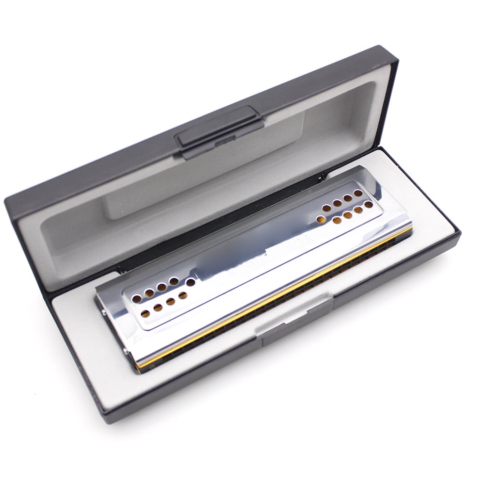 AMETOYS Swan 2-in-1 Dual-sided Tremolo Harmonica Mouth Organ Dural Key of C&G 24 Double Holes Reed Wind Instrument with Padded Box Cleaning Cloth