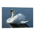 thumbnail image 1 of Swan In The Water Cute Animal Gifts Canvas Painting Poster Wall Art Decorative Picture Prints Modern Decor 08x12inch(20x30cm), 1 of 6