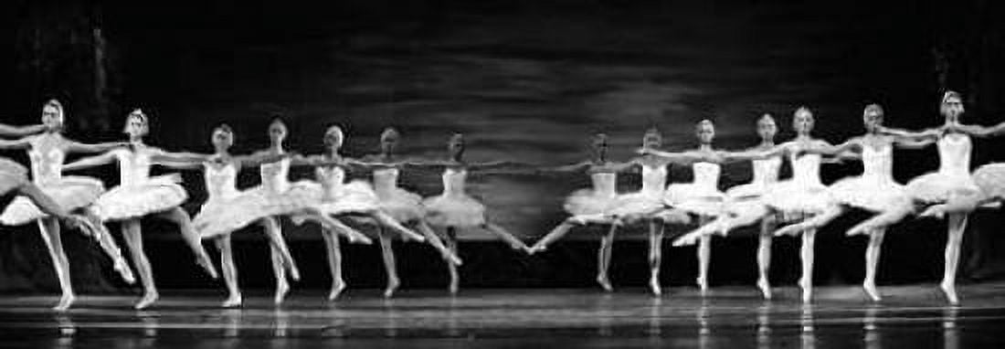 Swan Lake ballet Canvas Art - Anonymous (10 x 20)