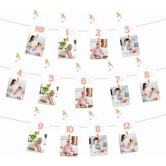 Swan Princess 1st Birthday Photo Banner from Newborn to 12 Month Swan Party decor 1st Birthday decor Girl Monthly Milestones Garland for Girls Baby Shower Swan Princess Party Decor Supplies