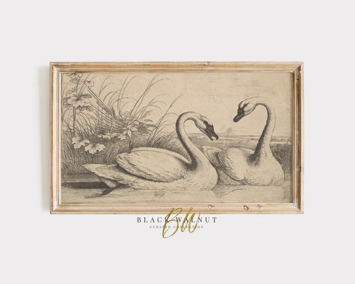 Swan Sketch Wall Art, Coquette Aesthetic, Vintage Drawing, Summer ...