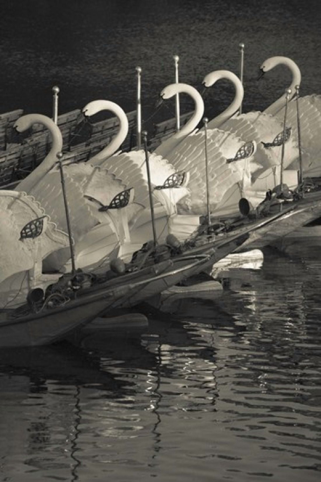 Swan boats in a river Boston Public Garden Boston Massachusetts USA Canvas Art - Panoramic Images (16 x 24)
