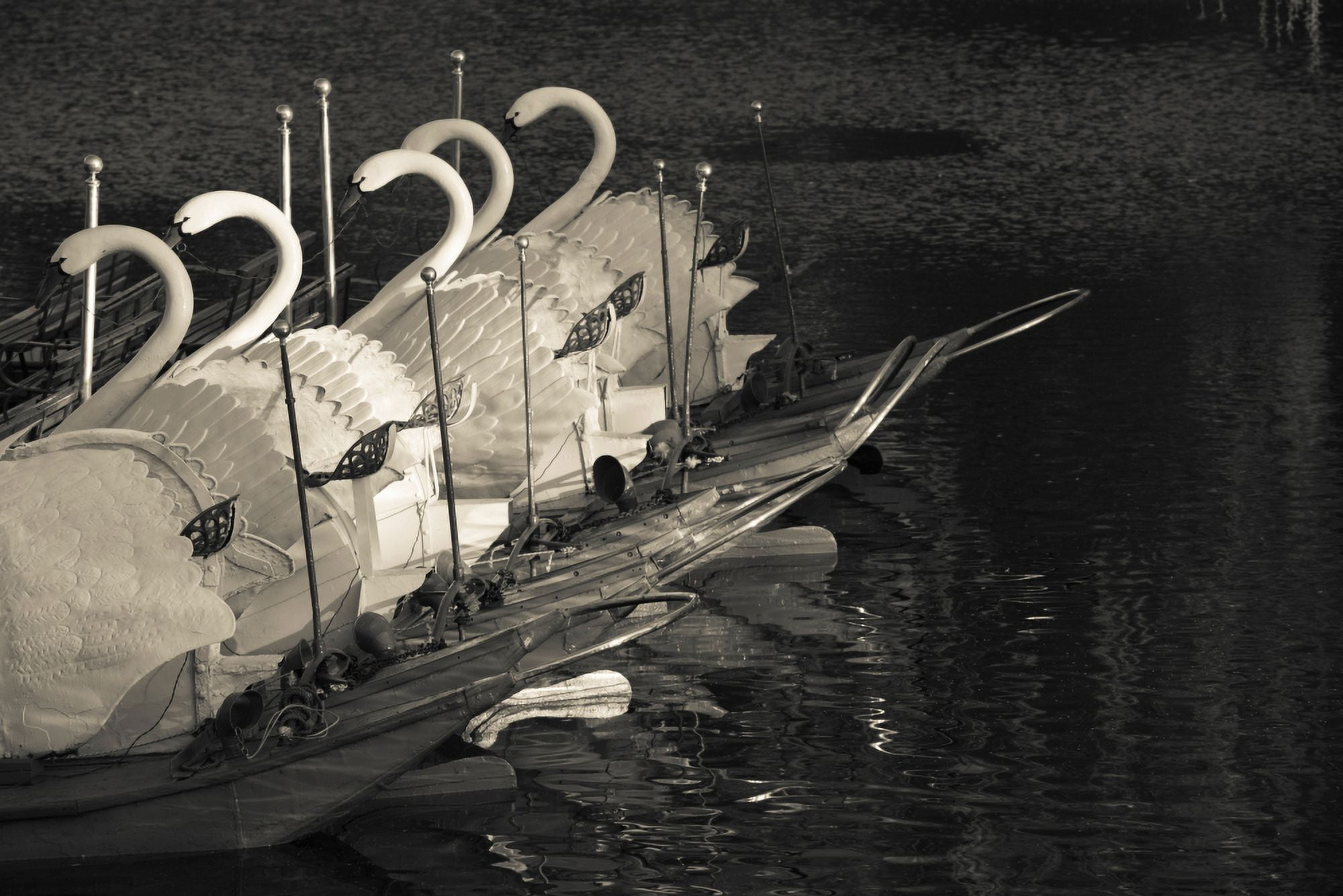 Swan boats in a river Boston Public Garden Boston Massachusetts USA Canvas Art - Panoramic Images (27 x 9)