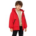 thumbnail image 1 of Swanpen Boys Winter Lined Hooded Jacket, Color Block Windproof Thick Padded Coat, Warm Thermal Kids Outerwear for Cold Weather, 1 of 5