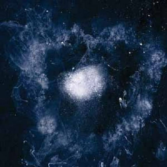 Swans - My Father Will Guide Me Up a Rope to the Sky - Music & Performance - Vinyl