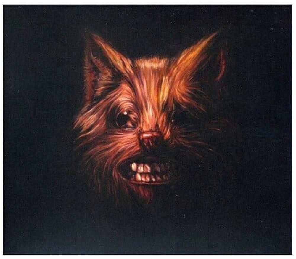 Swans - The Seer - Music & Performance - CD - Walmart.com