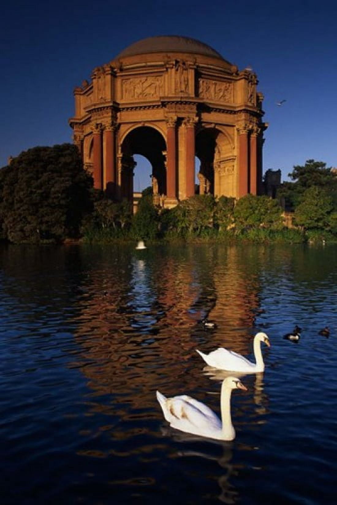 Swans and Palace of Fine Arts Canvas Art - Panoramic Images (12 x 18)