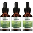 thumbnail image 1 of Swanson Astragalus Root Liquid Extract - Alcohol & Sugar Free  3 Pack, 1 of 6