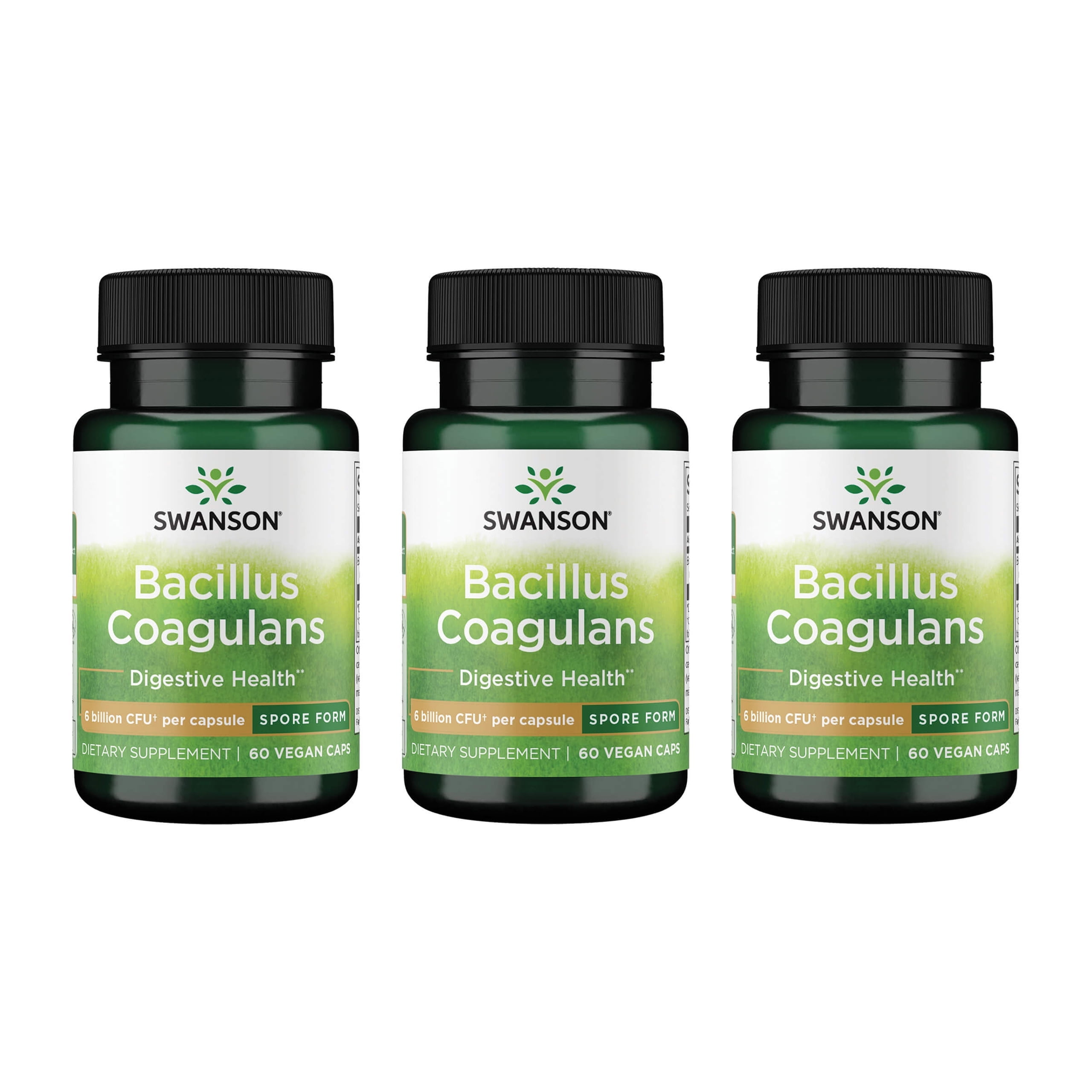 Swanson Bacillus Coagulans - Natural Probiotic Supplement Supporting Digestive Health w/ 6 Billion CFU - May Support GI & Overall Gut Health - (60 Veggie Capsules)(3 Pack)
