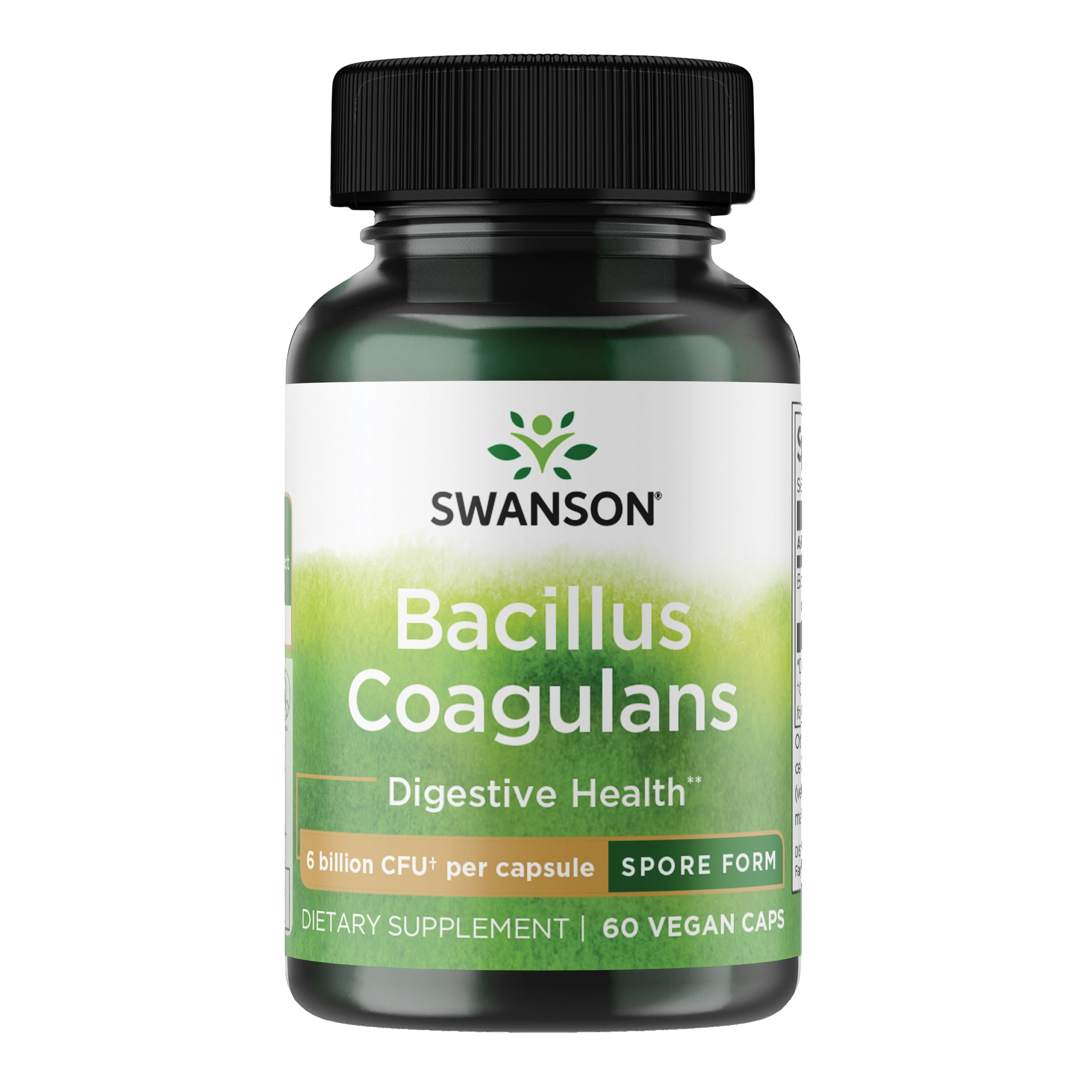 Swanson Bacillus Coagulans - Probiotic Supplement Supporting Digestive Health with 6 Billion CFU - Natural GI Health Support - (60 Veggie Capsules)