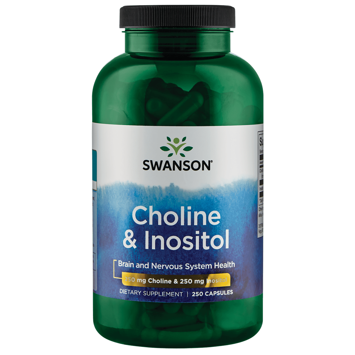 Swanson Choline and Inositol 250 Capsules