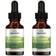 thumbnail image 1 of Swanson Echinacea & Goldenseal Liquid Extract - Alcohol Free 2 fl oz Liq 2 Pack, 1 of 6