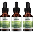 thumbnail image 1 of Swanson Echinacea & Goldenseal Liquid Extract - Alcohol Free 2 fl oz Liq 3 Pack, 1 of 6