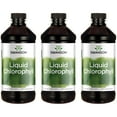 thumbnail image 1 of Swanson Liquid Chlorophyll 100 mg 16 fl oz Liq 3 Pack, 1 of 6