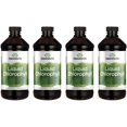 thumbnail image 1 of Swanson Liquid Chlorophyll 100 mg 16 fl oz Liq 4 Pack, 1 of 6