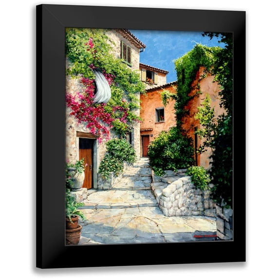 Swanson, Michael 20x24 Black Modern Framed Museum Art Print Titled - In the Alpes-Maritime, Provence