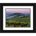 thumbnail image 1 of Swanson, Michael 24x19 Black Ornate Wood Framed with Double Matting Museum Art Print Titled - Chianti Dusk, 1 of 4