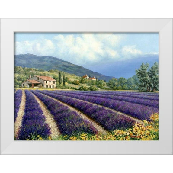 Swanson, Michael 32x25 White Modern Wood Framed Museum Art Print Titled - Fields Of Lavender