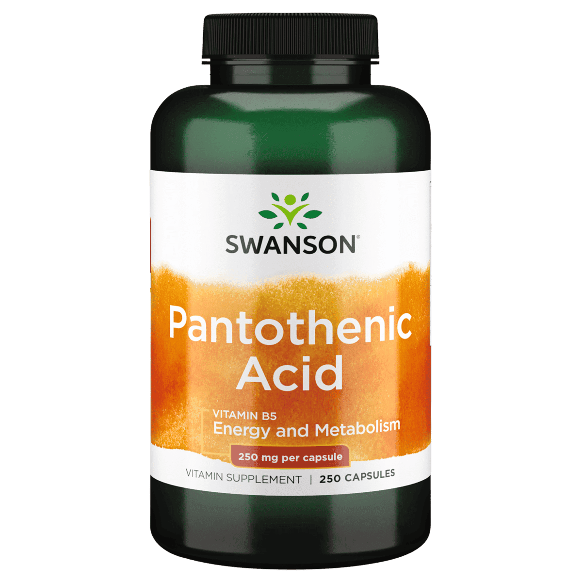 pantothenic acid 750 mg and 250 mg l carnitine Swanson Pantothenic Acid Capsules, 250 mg, 250 Count