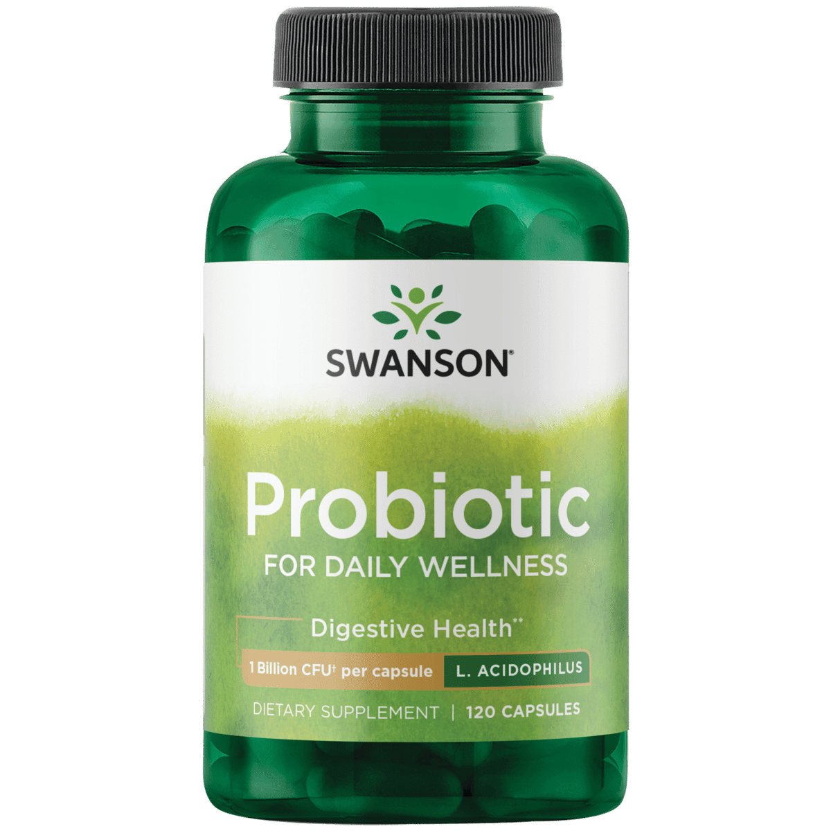 Swanson Probiotic for Daily Wellness 2 Billion Cfu 120 Capsules